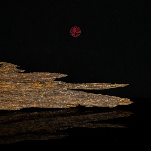 Trầm cảnh Kiến thiên nhiên cao cấp (44x8x8cm)