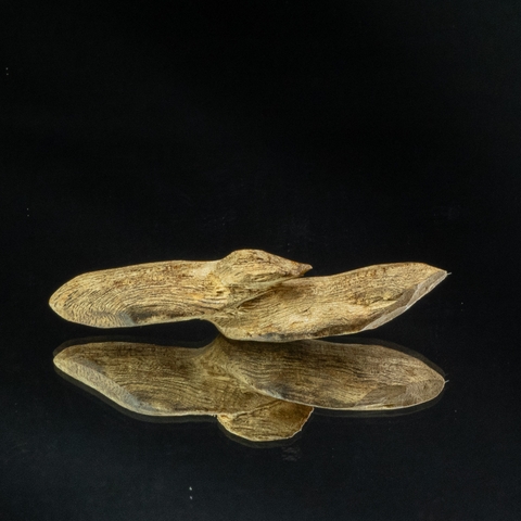 mặt dây chuyền thanh kỳ nam quý hiếm