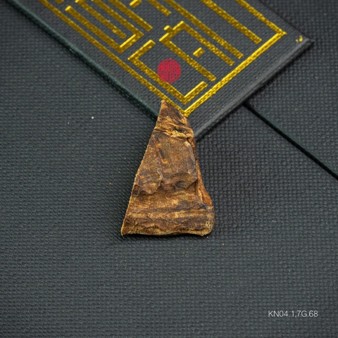 THANH KỲ NAM CHÌM NƯỚC QUÝ HIẾM