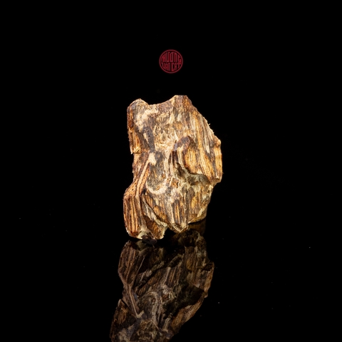 THANH KỲ NAM QUÝ HIẾM (2,43g)