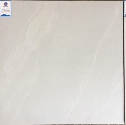 Gạch Granite Viglacera 60x60 CLM6601