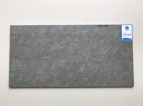 Gạch ốp Viglacera 30x60 KHP36908