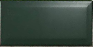 Gạch Thẻ 10x20 M1216XY