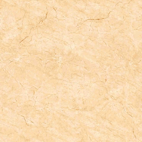 Gạch Viglacera 50x50 HH 503