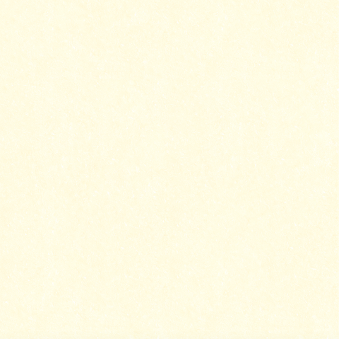 L6010 Gạch lát sàn