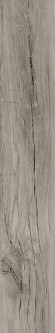 Gạch eurotile MOL MO2