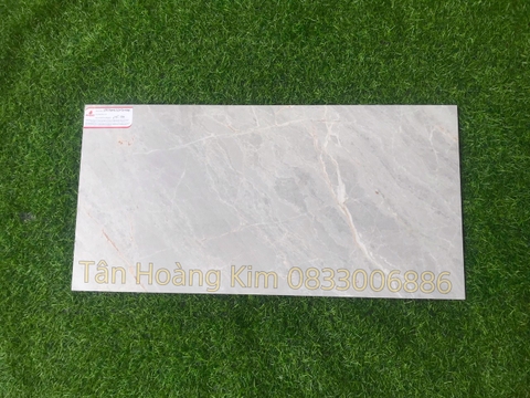 Gạch Đồng Tâm 30x60cm HLS04 295