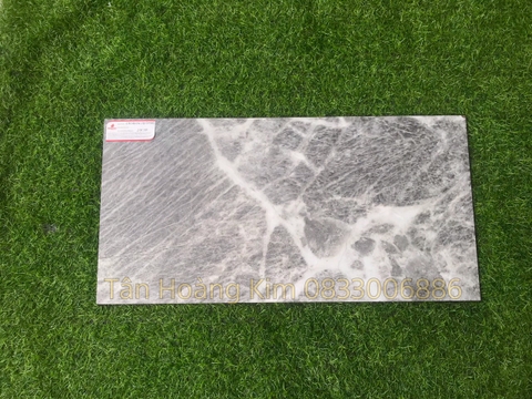 Gạch Đồng Tâm 30x60cm HLS016 295