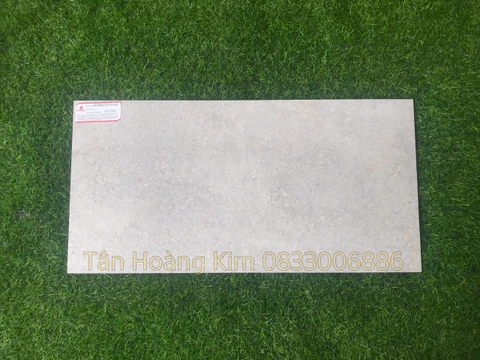 Gạch Đồng Tâm 30x60cm HLS02 255