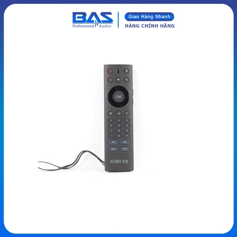 Air Mouse Key Kiwi V6 Voice