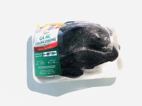 Gà ác bé Ogari