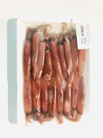 MỰC ỐNG TRỨNG A
