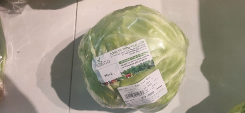 Rau bắp cải
