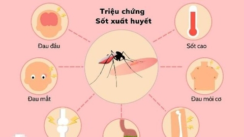 Thuốc hạ sốt, giảm đau nào không được dùng khi bị sốt xuất huyết?