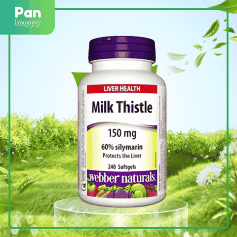 WEBBER NATURALS Milk Thistle Bảo vệ & hỗ trợ chức năng gan 240V