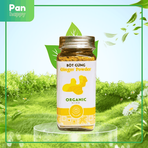 VINASAMEX Bột Gừng Hữu Cơ 40g