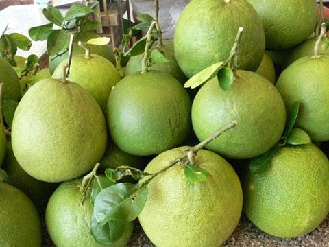 Bưởi da xanh