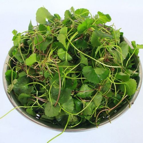 Rau má vườn