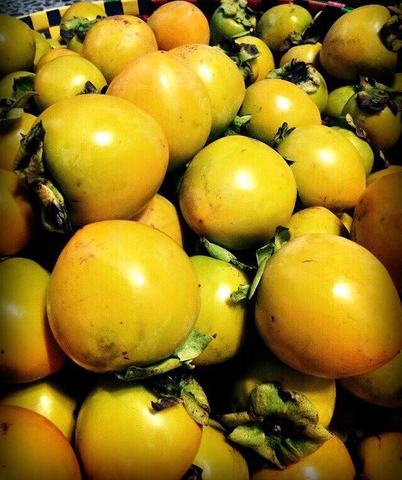 Hồng giòn Đà Lạt