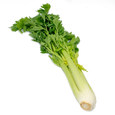Cần lớn