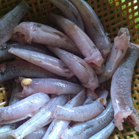 Cá bống làm sạch(500gr)