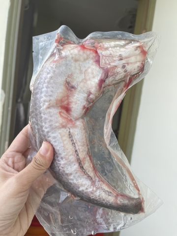 cá lóc làm sạch