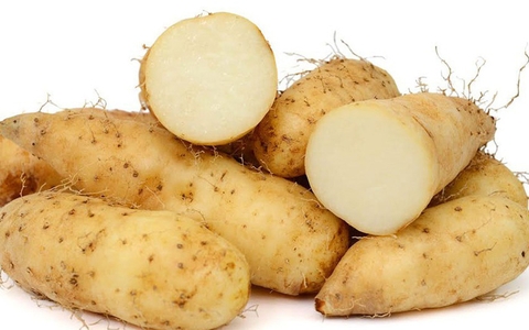 Củ từ