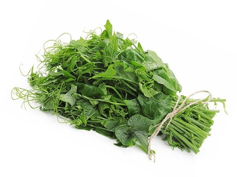 Đọt su