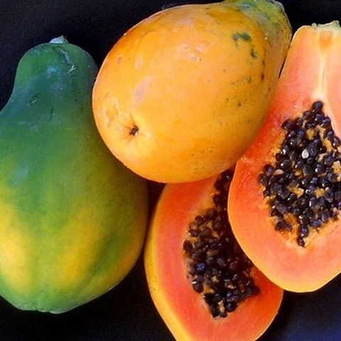 Đu đủ ruột đỏ