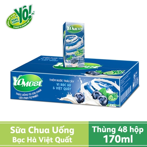Sữa Cô gái Hà Lan Yomost Bạc Hà Việt Quất 170ml