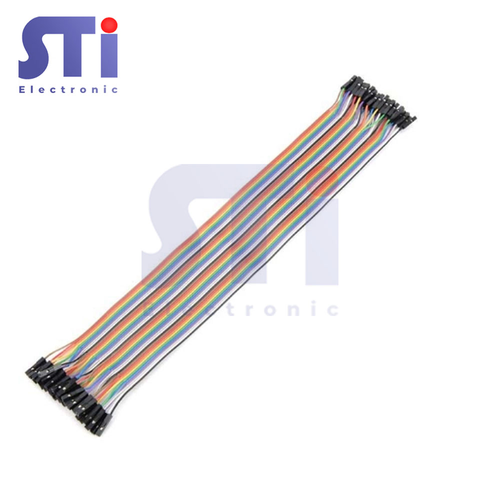 Dây cắm 30CM C-C (Hai Đầu Cái Cái) (10 Sợi)