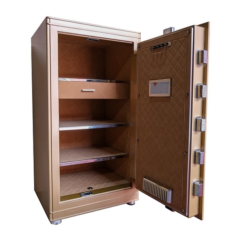 Két sắt thông minh nhận diện khuôn mặt HK-100-BR