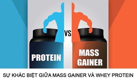 Whey và Mass là gì ? Lựa chọn nào phù hợp với bạn hơn ?