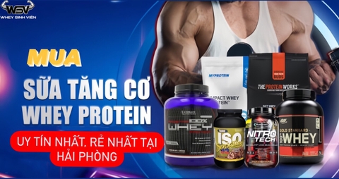 Địa chỉ mua Whey Protein sữa tăng cơ giảm mỡ ở Hải phòng