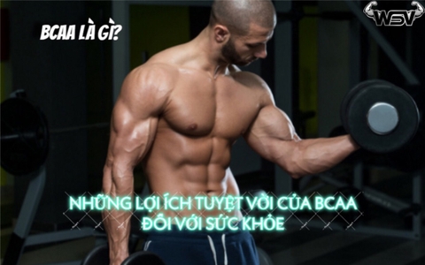 BCAA và những công dụng tuyệt vời đối với sức khỏe và tập luyện