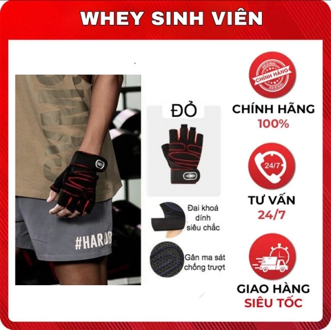 Găng GLOVEST
