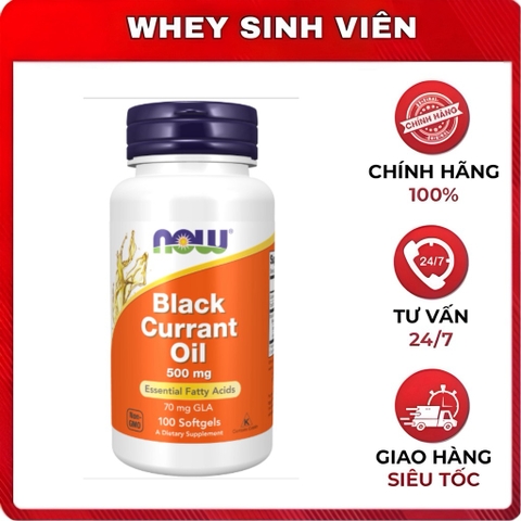 Now Black Currant Oil (500mg)