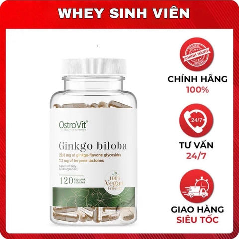 Ostrovit Ginkgo Biloba (120 viên)