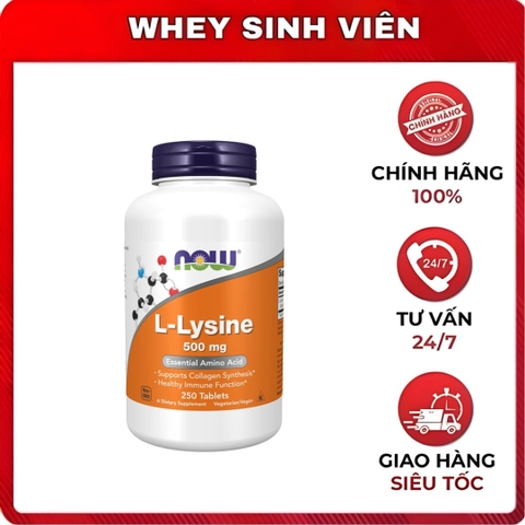 NOW L - Lysine ( 500mg )  ( 250 viên )