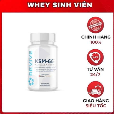 Revive KSM-66 ( 60 viên )