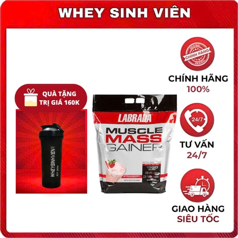 Muscle Mass Gainer 5.4kg Labrada