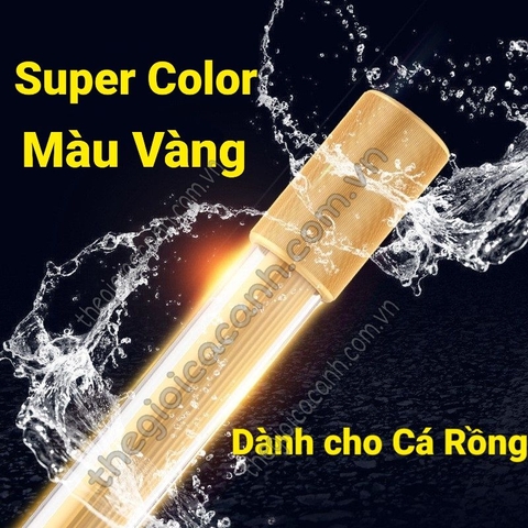 ĐÈN LED CÁ RỒNG MAYIN SUPER COLOUR MÀU VÀNG DÀNH CHO BỐI