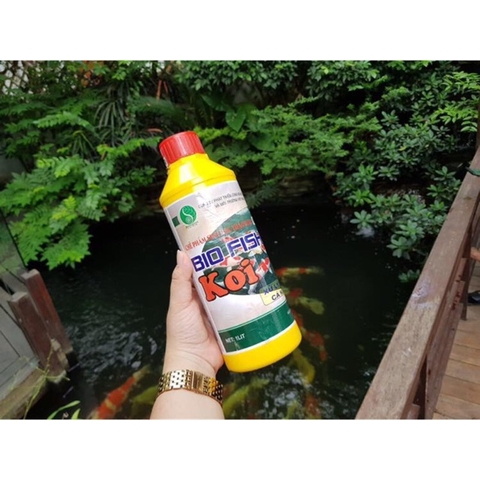 Men Vi Sinh Hồ Koi BIO FISH KOI Cho Cá Koi