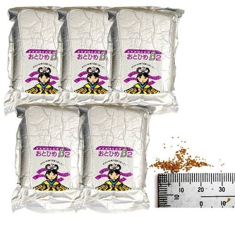 CÁM NHẬT B2 - THỨC ĂN CHO CÁ BẢY MÀU 50G