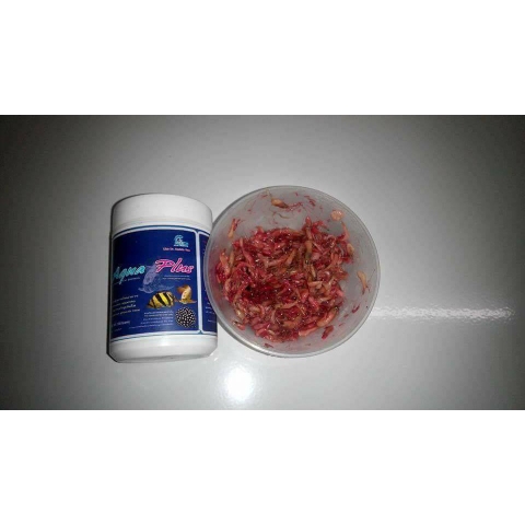 CZ13 - AQUA PLUS (VITAMIN CHO RỒNG, HỔ, SAM)
