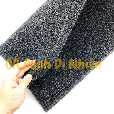Mút đen lọc nước - Bông gòn đen lọc hồ cá Koi vuông 50 cm