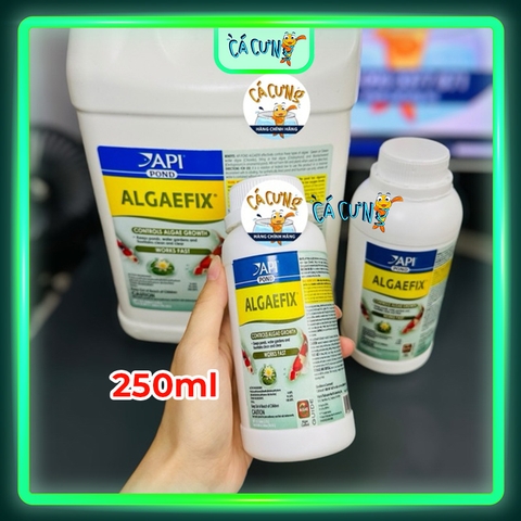 API Algaefix Pond - Công nghệ Hoá học chuyên Diệt Rêu Hại, Chùm Đen, Rêu Tóc, Tảo Nâu (HÀNG CTY)
