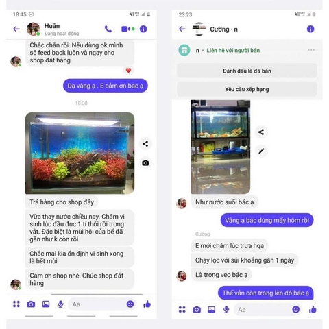 Vi sinh viên nén Aquarista Nhật Bản (Hộp 100 viên)