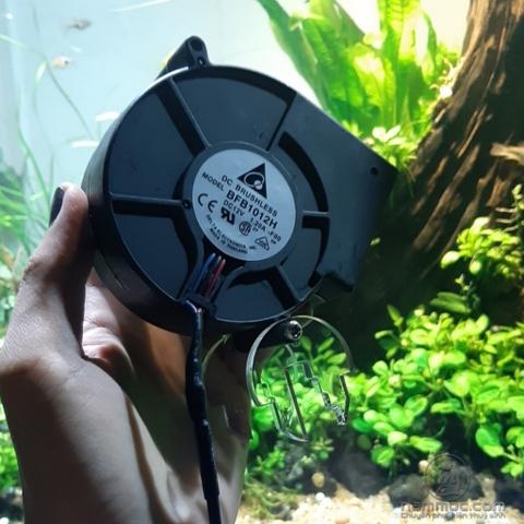 QUẠT SÒ MINI SIÊU ÊM (FULL BỘ) | QUẠT LÀM MÁT HỒ CÁ TÉP HỒ THUỶ SINH