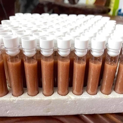 Ống Trữ Atermia 5ml Mica - Ống Đựng Artemia Nhựa Cứng Trong đựng thức ăn cho cá cảnh (LOẠI 1)